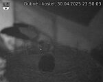 Capi_Dubne_20250430_235003.jpg