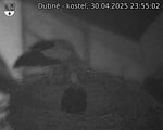 Capi_Dubne_20250430_235502.jpg