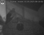 Capi_Dubne_20250501_001002.jpg