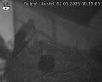 Capi_Dubne_20250501_001503.jpg