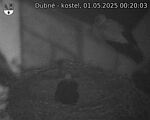 Capi_Dubne_20250501_002003.jpg