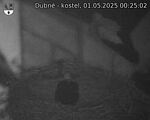 Capi_Dubne_20250501_002502.jpg