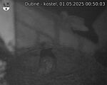 Capi_Dubne_20250501_005003.jpg