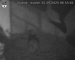 Capi_Dubne_20250501_005502.jpg