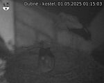 Capi_Dubne_20250501_011503.jpg