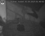Capi_Dubne_20250501_014002.jpg