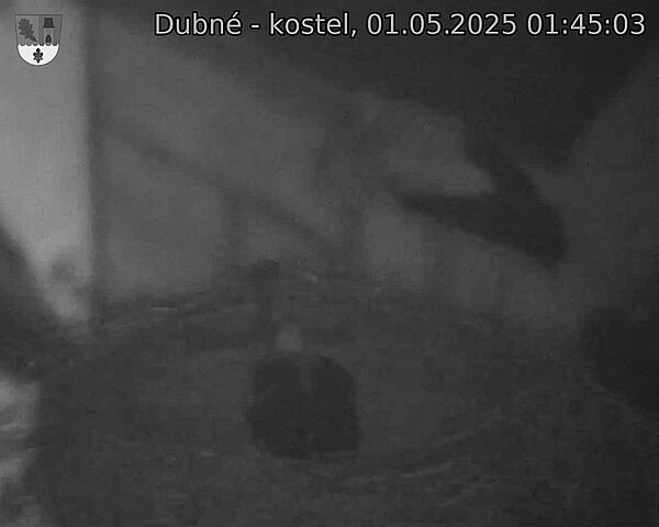 Capi_Dubne_20250501_014503.jpg (1350 x 1080)