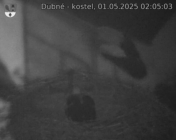 Capi_Dubne_20250501_020503.jpg (1350 x 1080)