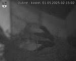 Capi_Dubne_20250501_021503.jpg