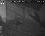 Capi_Dubne_20250501_033003.jpg