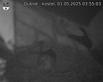 Capi_Dubne_20250501_035503.jpg