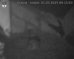 Capi_Dubne_20250501_041503.jpg