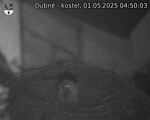 Capi_Dubne_20250501_045003.jpg