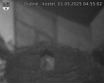 Capi_Dubne_20250501_045502.jpg