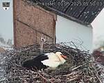 Capi_Dubne_20250501_055003.jpg