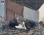 Capi_Dubne_20250501_063503.jpg