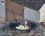 Capi_Dubne_20250501_064503.jpg