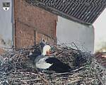 Capi_Dubne_20250501_065503.jpg