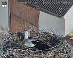 Capi_Dubne_20250501_070003.jpg