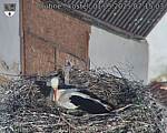 Capi_Dubne_20250501_071503.jpg