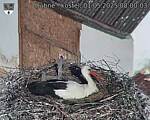 Capi_Dubne_20250501_080003.jpg