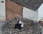 Capi_Dubne_20250501_081003.jpg