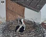 Capi_Dubne_20250501_082003.jpg