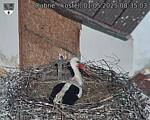 Capi_Dubne_20250501_083503.jpg