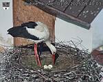 Capi_Dubne_20250501_094003.jpg