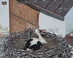 Capi_Dubne_20250501_095003.jpg