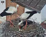 Capi_Dubne_20250501_100004.jpg