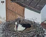 Capi_Dubne_20250501_100503.jpg