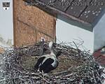 Capi_Dubne_20250501_105004.jpg
