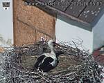 Capi_Dubne_20250501_105503.jpg