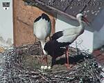 Capi_Dubne_20250501_112503.jpg