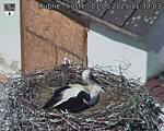 Capi_Dubne_20250501_113003.jpg