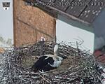 Capi_Dubne_20250501_114003.jpg
