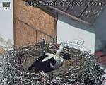 Capi_Dubne_20250501_115002.jpg