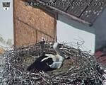 Capi_Dubne_20250501_121503.jpg