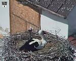 Capi_Dubne_20250501_122003.jpg
