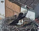 Capi_Dubne_20250501_123003.jpg