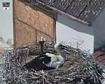 Capi_Dubne_20250501_130503.jpg