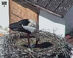 Capi_Dubne_20250501_132002.jpg