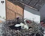 Capi_Dubne_20250501_133003.jpg