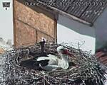 Capi_Dubne_20250501_133503.jpg