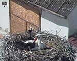 Capi_Dubne_20250501_134504.jpg