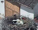 Capi_Dubne_20250501_135002.jpg