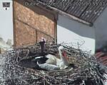 Capi_Dubne_20250501_135503.jpg