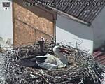 Capi_Dubne_20250501_141502.jpg