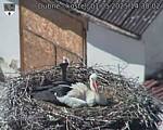 Capi_Dubne_20250501_143002.jpg